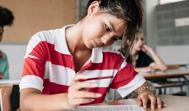 School Psychologist Merrillville