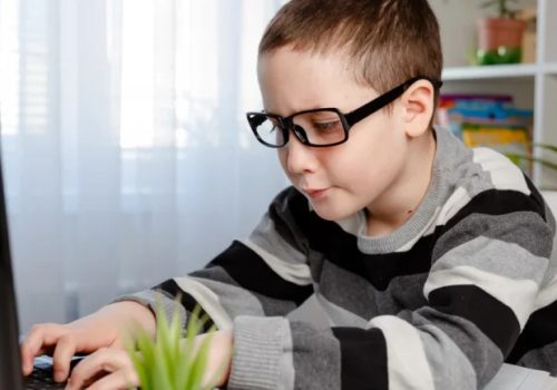 Image of a school aged boy on a computer at a desk