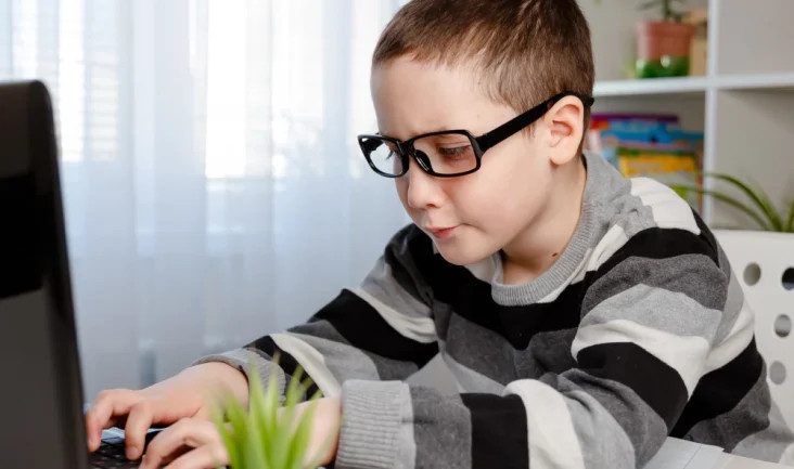 Image of a school aged boy on a computer at a desk